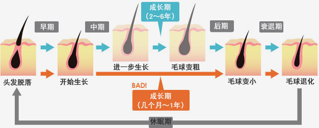 秃发、脱发烦恼