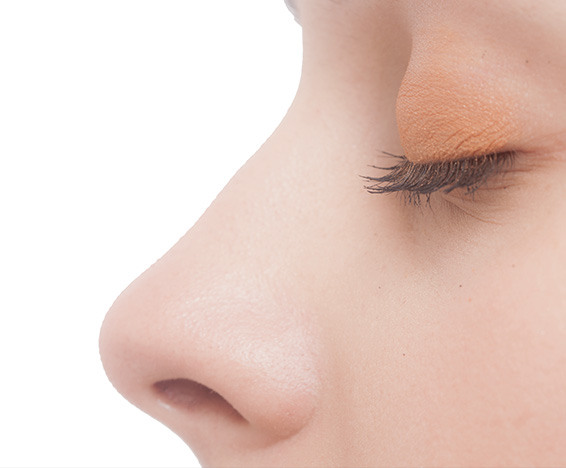 鼻子 · 隆鼻
