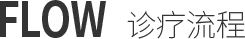 FLOW 诊疗流程